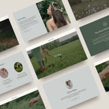 Wellbeing Coach Website Template